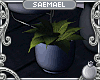 S:~ Potted plant set 01