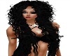 wild black
