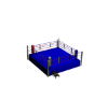 MI Boxing Ring