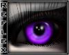 [R] Nightshade Purple