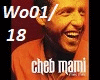 Cheb Mami - Wo Wo