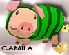 ! Funny Pig - Pet