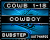 Cowboy Dubstep