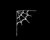 Tiny Corner Spiderweb