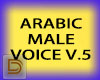 DGR Arabic M Voice V.5