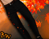 |BW| Fall Black Pants