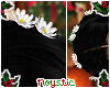 N: Daisy Head Flowers