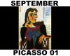 (S) Picasso 01