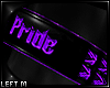 Pride Armband L