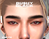 BUSHY BLACK EYEBROW 02