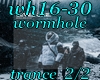 wh16-30 wormhle2/2