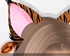 Tiger Ears [Animated]