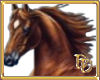 Gorgeous Horse Sticker