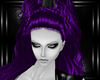 purple morwenna hairs