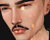Mandrake 08/08