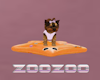 Z Yorkie Pup on floatie
