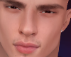 Hemer - Head Mesh