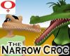 Narrow Croc -Female