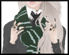 HP House Scarf S
