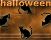 halloween cat rug