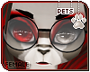 [Pets] Fai | glasses v2