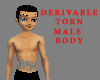 Derivable Torn Male Body