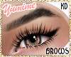 [Y] KD Brows. Pisces