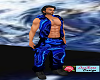 blue dragon bibs