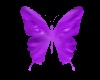 Butterfly Dance Marker2