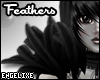 {EX}Black Feather Tufts