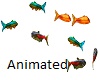Animated Fish