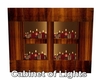 Cabinet of Lights