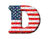 (1) American Flag "D"