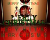 MERRY CHRISTMAS POSES