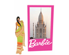 J*Indian Barbie Box