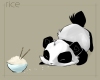 A~M Panda With Rice