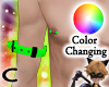 (C) Rave Arm Belts