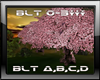 DJ Cherry Blossom Tree