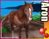 {AFK} horse