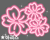 ★ Cherry Blossom Neon