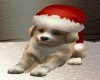 [K] Christmas Puppy