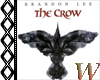 The Crow Record Pic