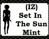 (IZ) SetInThe Sun Mint