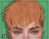 Sz l Robbie Ginger