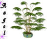 W&S PoolHouse Plant 1