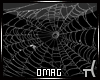 0 | Spiderweb 3