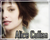 *[A+C] Alice Cullen hair