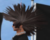 Brown Mohawk