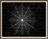 Raven Spider Web