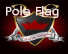 ~K~Shadow Pole Flag